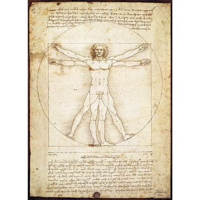 Leonardo Da Vinci: Schema delle Proporzioni