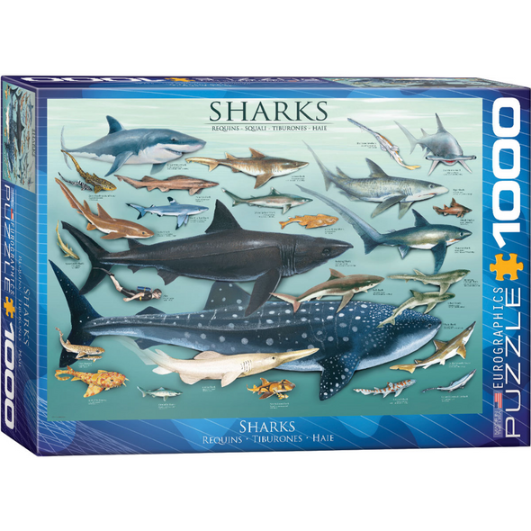 Sharks (1000 Pieces)