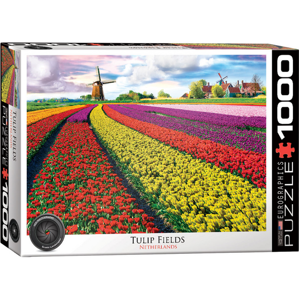 Tulip Field - Netherlands (1000 Pieces)