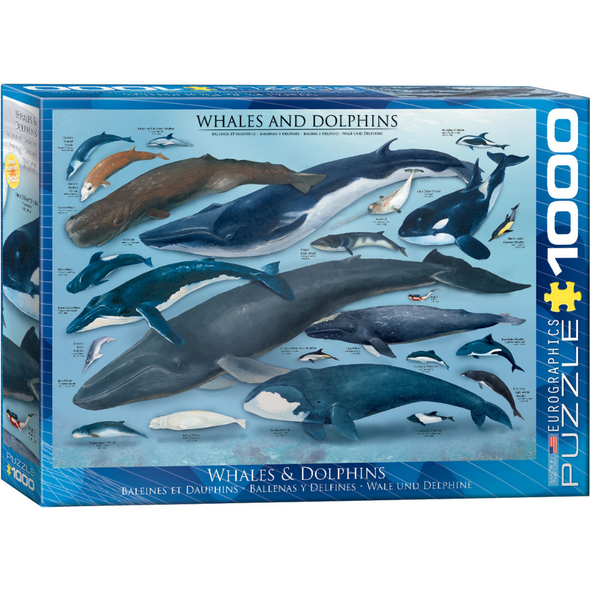 Whales & Dolphins