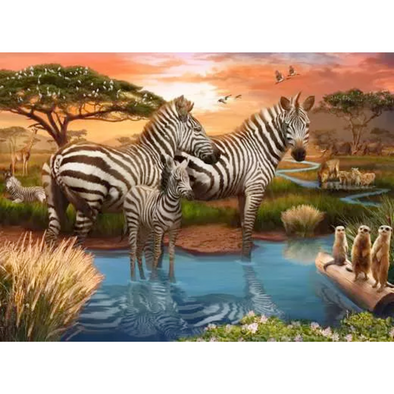 Zebra’s at Waterhole (500 Pieces)